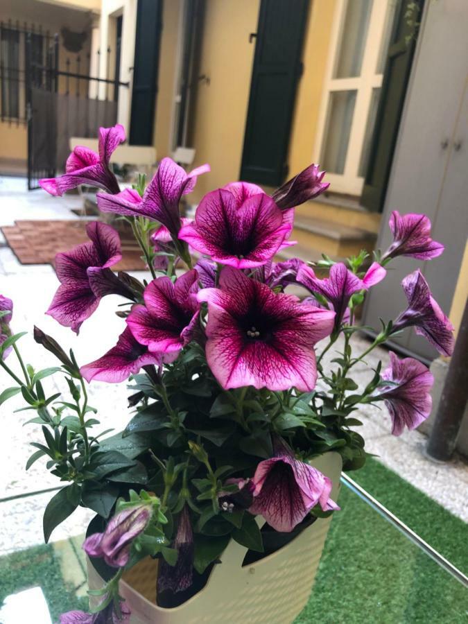 Apartament Le Palme Bolonia Zewnętrze zdjęcie